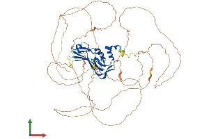 AlphaFold protein structure predicition of Human Recombinant TBR1 Protein, UniprotID Q16650