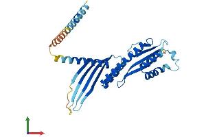 Protein Structure (PS) image for Centromere Protein P (CENPP) (AA 1-286) protein (His tag) (ABIN7560777)