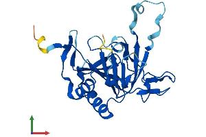 Protein Structure (PS) image for AlkB, Alkylation Repair Homolog 6 (ALKBH6) (AA 1-238) protein (His tag) (ABIN7559519)