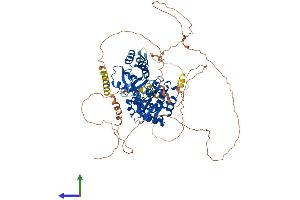 Protein Structure (PS) image for DENN/MADD Domain Containing 1B (DENND1B) (AA 1-766) protein (His tag) (ABIN7563695)