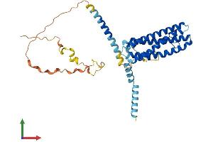 AlphaFold protein structure predicition of Human Recombinant SCAMP3 Protein, UniprotID O14828