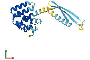 AlphaFold protein structure predicition of Human Recombinant COMMD7 Protein, UniprotID Q86VX2 (COMMD7 Protein (AA 1-200) (His tag))