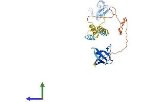 Protein Structure (PS) image for LIM and SH3 Protein 1 (LASP1) (AA 1-261) protein (His tag) (ABIN7549030)