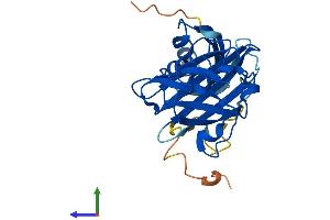 Protein Structure (PS) image for Copper Chaperone For Superoxide Dismutase (CCS) (AA 1-274) protein (His tag) (ABIN7556268)