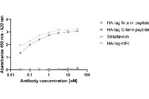HA-tagged Protein was coated on an ELISA plate at 100 ng. (Recombinant 小鼠 anti-兔 IgG Antibody (HRP))