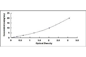 Typical standard curve (IREB2 ELISA 试剂盒)