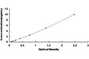 Typical standard curve (STX1A ELISA 试剂盒)