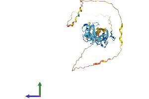 Protein Structure (PS) image for Filamin Binding LIM Protein 1 (FBLIM1) (AA 1-375) protein (His tag) (ABIN7558155)
