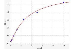 Typical standard curve (SLC29A1 ELISA 试剂盒)