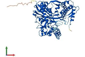 Protein Structure (PS) image for Glycerol Kinase 5 (Putative) (GK5) (AA 1-529) protein (His tag) (ABIN7547967)