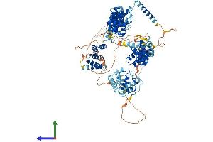 Protein Structure (PS) image for Sperm Associated Antigen 1 (SPAG1) (AA 1-901) protein (His tag) (ABIN7564309)