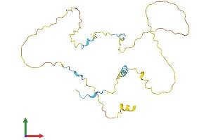 AlphaFold protein structure predicition of Human Recombinant TP53INP1 Protein, UniprotID Q96A56