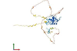 Protein Structure (PS) image for Forkhead Box H1 (FOXH1) (AA 1-365) protein (His tag) (ABIN7547762)