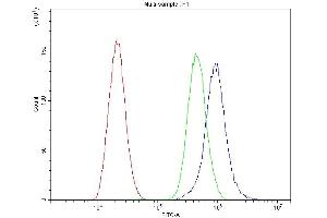 Flow Cytometry analysis of U-87 cells using anti-CaV1.