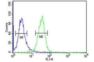 PGP antibody flow cytometric analysis of K562 cells (green) compared to a negative control (blue). (PGP 抗体  (AA 33-62))