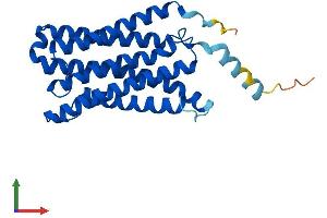 AlphaFold protein structure predicition of Human Recombinant CYB561 Protein, UniprotID P49447