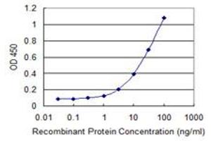 Detection limit for recombinant GST tagged MBIP is 0. (MBIP 抗体  (AA 1-344))