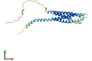 AlphaFold protein structure predicition of Mouse Recombinant Ms4a2 Protein, UniprotID P20490