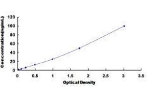 Coagulation Factor XIII, A1 Polypeptide (F13A1) ELISA Kit