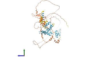 Protein Structure (PS) image for Zinc Finger Protein 692 (ZNF692) (AA 1-519) protein (His tag) (ABIN7545580)