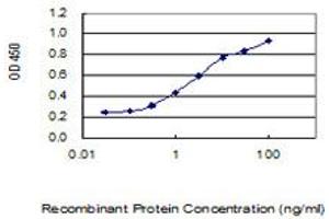 Detection limit for recombinant GST tagged TCEAL3 is 0. (TCEAL3 抗体  (AA 1-200))