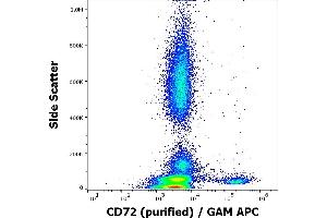 Flow cytometry surface staining pattern of human peripheral whole blood stained using anti-human CD72 (3F3) purified antibody (concentration in sample 3 μg/mL, GAM APC).