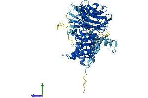 Protein Structure (PS) image for DET1 (DET1) (AA 1-550) protein (His tag) (ABIN7560822)