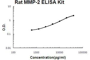 Rat MMP-2 Accusignal ELISA Kit Rat MMP-2 AccuSignal ELISA Kit standard curve. (MMP2 ELISA 试剂盒)