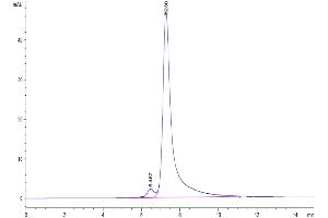 Size-exclusion chromatography-High Pressure Liquid Chromatography (SEC-HPLC) image for Lymphocyte Antigen 75 (LY75) (AA 28-1666) protein (His tag) (ABIN7275221)