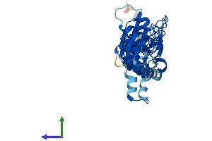 Protein Structure (PS) image for Ankyrin Repeat and SOCS Box Containing 7 (ASB7) (AA 1-318) protein (His tag) (ABIN7560159)