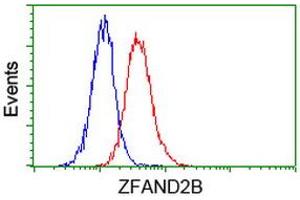 Image no. 3 for anti-Zinc Finger, AN1-Type Domain 2B (ZFAND2B) antibody (ABIN1501806) (ZFAND2B 抗体)