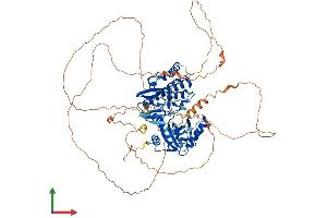 Protein Structure (PS) image for Germ Cell Associated 2 (Haspin) (GSG2) (AA 1-754) protein (His tag) (ABIN7565259)
