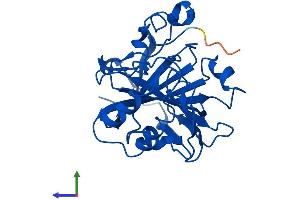 Protein Structure (PS) image for Carbonic Anhydrase VII (CA7) (AA 1-264) protein (His tag) (ABIN7552832)