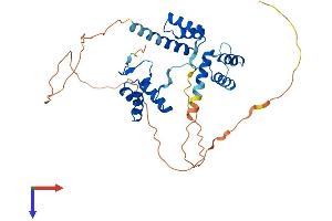 PAX4 Protein (AA 1-349) (His tag)