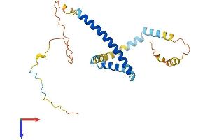 TPD52 Protein (AA 1-224) (His tag)