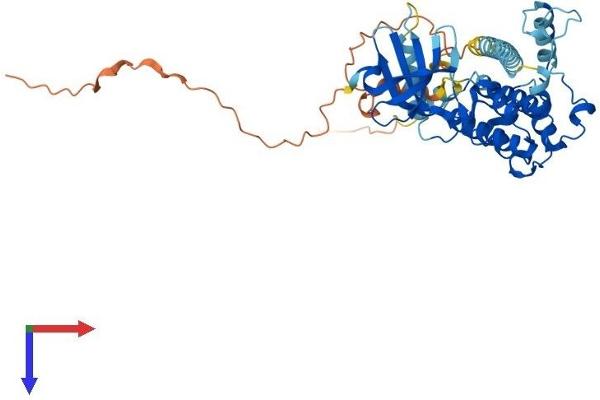 MKNK1 Protein (AA 1-427) (His tag)