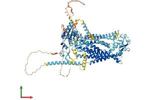 Protein Structure (PS) image for Anoctamin 1, Calcium Activated Chloride Channel (ANO1) (AA 1-960) protein (His tag) (ABIN7564360)