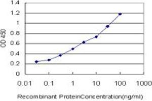 Detection limit for recombinant GST tagged MPG is approximately 0. (MPG 抗体  (AA 1-90))