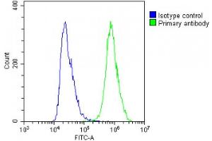 Overlay histogram showing A431 cells stained with (ABIN6243401 and ABIN6578787)(green line). (NSFL1C 抗体  (AA 37-71))