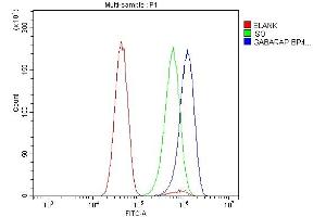 Flow Cytometry analysis of U251 cells using anti-GABARAP antibody (ABIN7603159). (GABARAP 抗体  (N-Term))