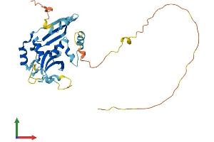 Protein Structure (PS) image for Chromosome 18 Open Reading Frame 10 (C18orf10) (AA 1-300) protein (His tag) (ABIN7544546)