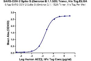 ELISA image for SARS-CoV-2 Spike (B.1.1.529 - Omicron), (Trimer) protein (His tag) (ABIN7274386)