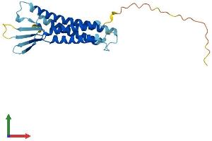 Protein Structure (PS) image for Claudin 9 (CLDN9) (AA 1-217) protein (His tag) (ABIN7546560)