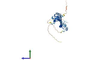 Protein Structure (PS) image for Tripartite Motif Containing 54 (TRIM54) (AA 1-366) protein (His tag) (ABIN7561443)