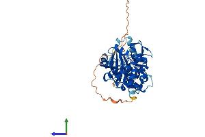 AlphaFold protein structure predicition of Mouse Recombinant Nim1k Protein, UniprotID Q8BHI9 (NIM1 Protein (AA 1-436) (His tag))