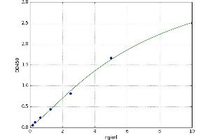 Matrix Metallopeptidase 25 (MMP25) ELISA Kit