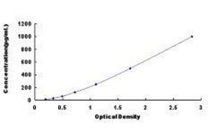 Interleukin 17B (IL17B) ELISA Kit