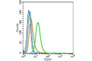 Hela cells probed with Integrin Alpha V + Beta 6 Antibody, Unconjugated  at 1:100 for 30 minutes followed by incubation with a conjugated secondary (PE Conjugated) (green) for 30 minutes compared to control cells (blue), secondary only (light blue) and isotype control (orange). (ITGAV/ITGB6 抗体)