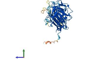 Protein Structure (PS) image for Pellino Homolog 2 (Drosophila) (PELI2) (AA 1-419) protein (His tag) (ABIN7558860)