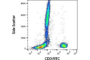 Flow cytometry surface staining pattern of human peripheral whole blood stained using anti-human CD3 (UCHT1) FITC antibody (20 μL reagent / 100 μL of peripheral whole blood).